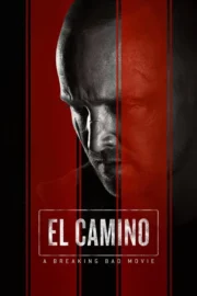 Breaking Bad Season 1-5 (2012) ดับเครื่องชน คนดีแตก ซีซั่น 1-5